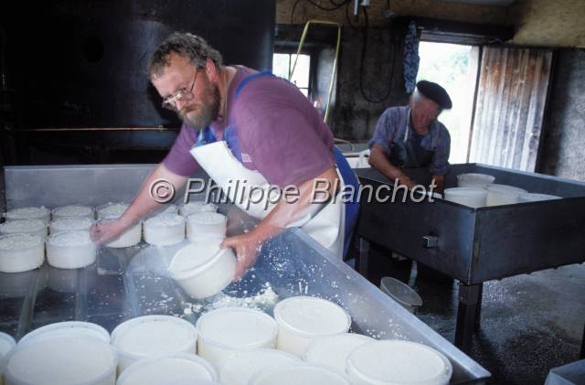 tomme de savoie 15.JPG - Fabrication de la tomme de SavoieAlpageMassif des BaugesSavoieFrance